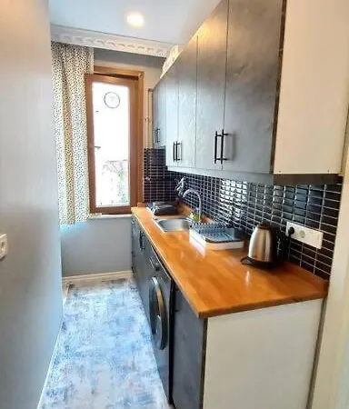 Historical Comfy Flat In Beyoglu Tophane, Galata Istambul Extérieur photo